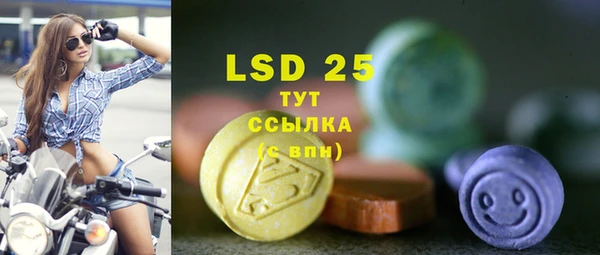 сатива Бородино